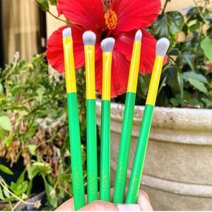 New LAVISH 5 Essential Eye Brush Set